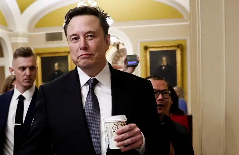 Elon Musk's net worth